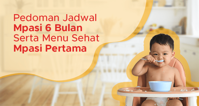 Pedoman Jadwal MPASI 6 Bulan yang Paling Ideal
