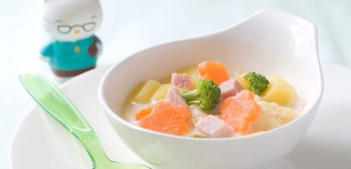 Cara membuat mpasi bayi 1 tahun