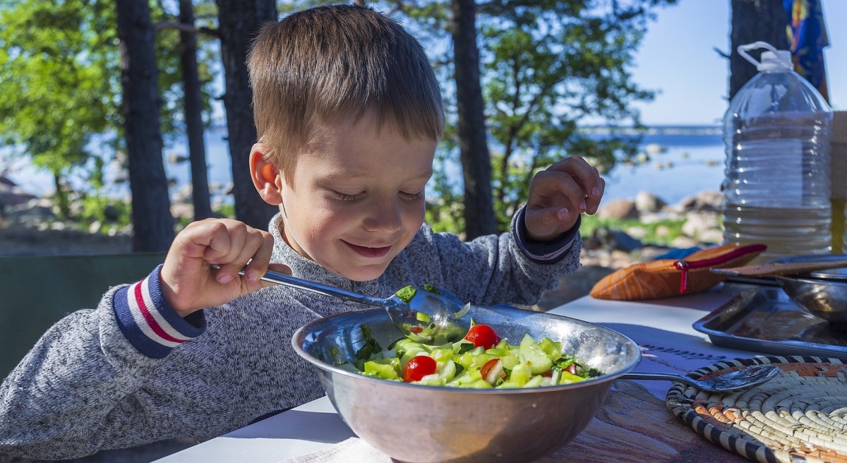 Pola makan anak usia 6 12 tahun
