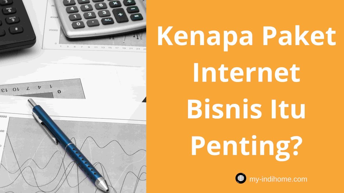 Kenapa kucing jantan makan anak kucing