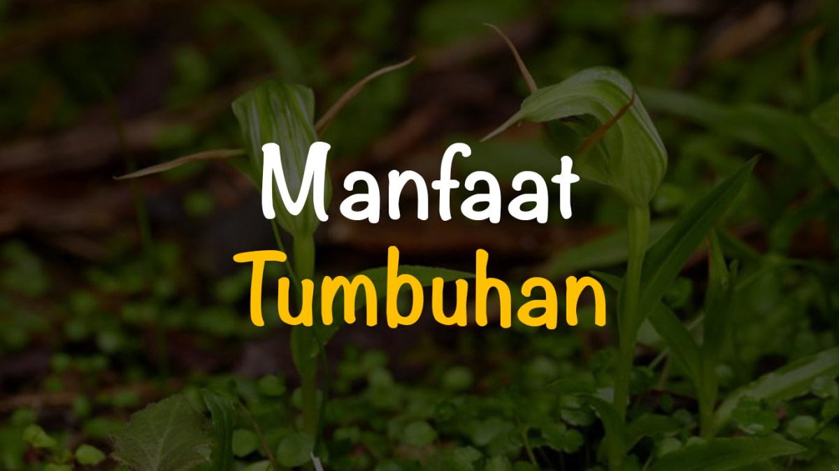 Sebutkan manfaat tumbuhan bagi manusia
