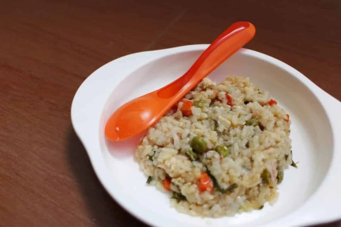 Panduan Pemberian MPASI 1 Tahun dan Resep Menu Makannya