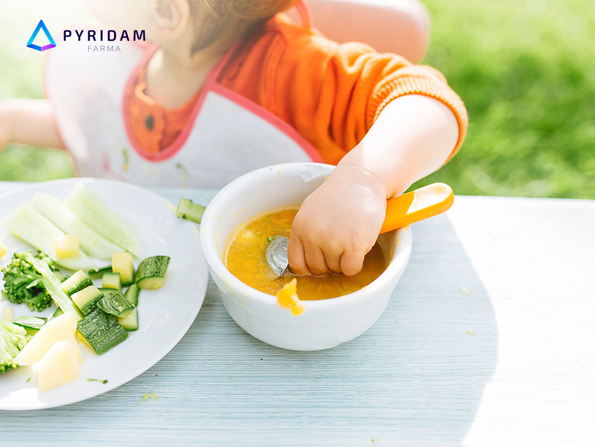 Pola makan anak usia 6 12 tahun