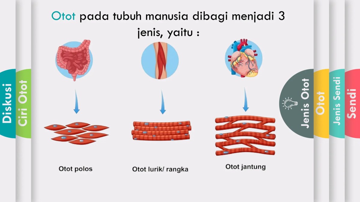 Materi sekolah ramah anak