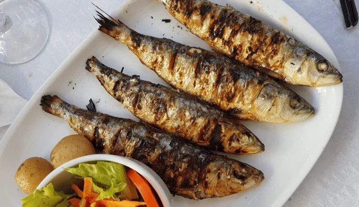 Definisi makanan bergizi
