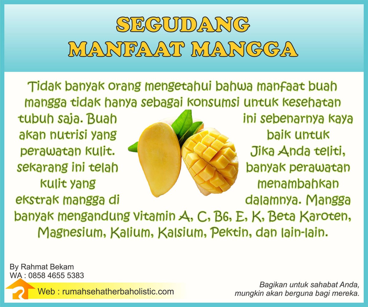 11 Manfaat Buah Mangga untuk Kesehatan Tubuh