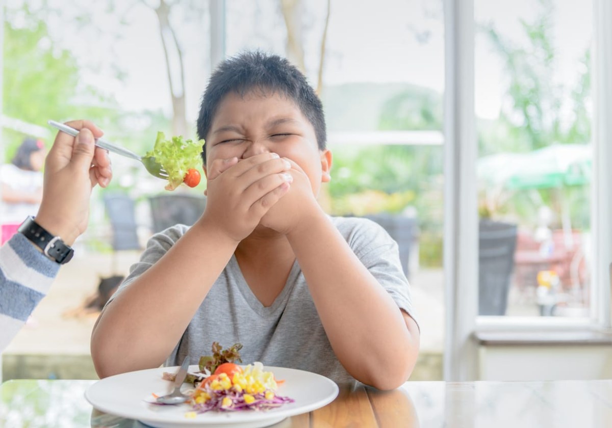 Suplemen Vitamin Untuk Anak Susah Makan | HonestDocs