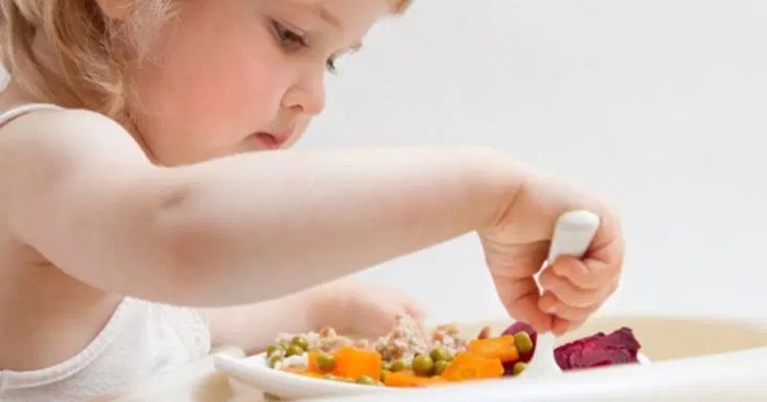 Kebutuhan gizi anak 1 2 tahun