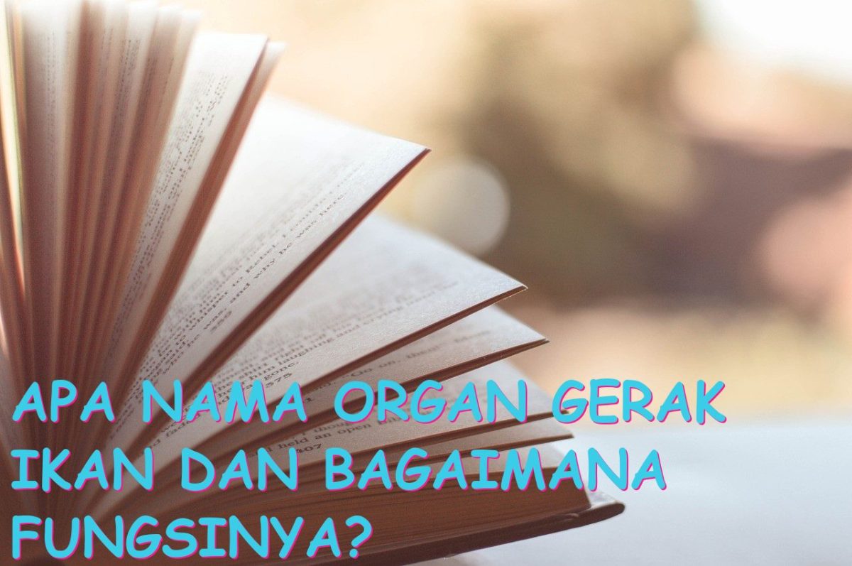Nama organ gerak ular dan fungsinya