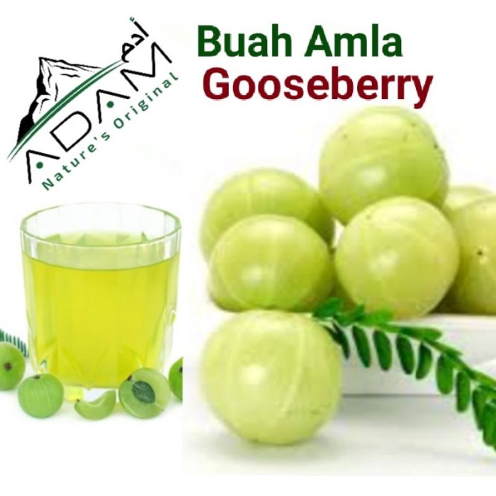 Ciri anak sehat usia 1 tahun