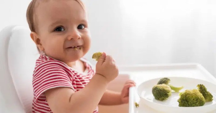 Resep Mpasi 6 Bulan Pertama Terbaik - Homecare24