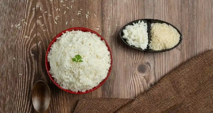 Aturan makan nasi untuk diet