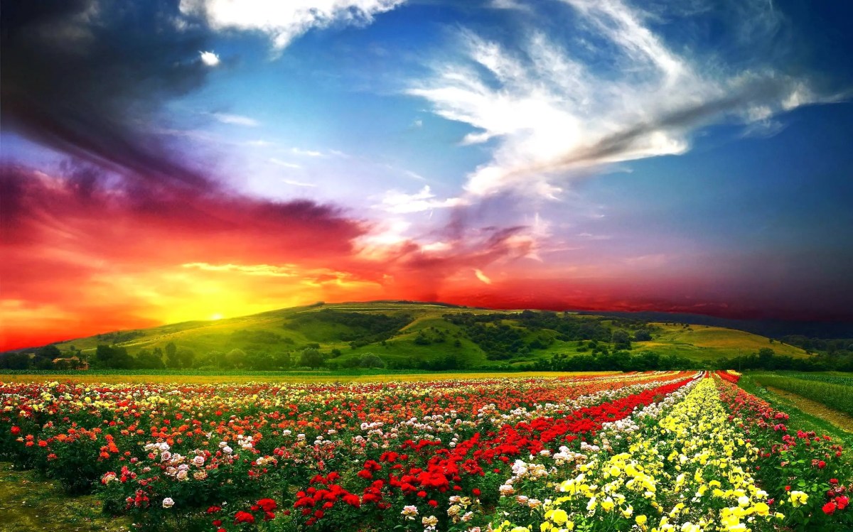 50 Gambar Wallpaper Alam - Koleksi Gambar