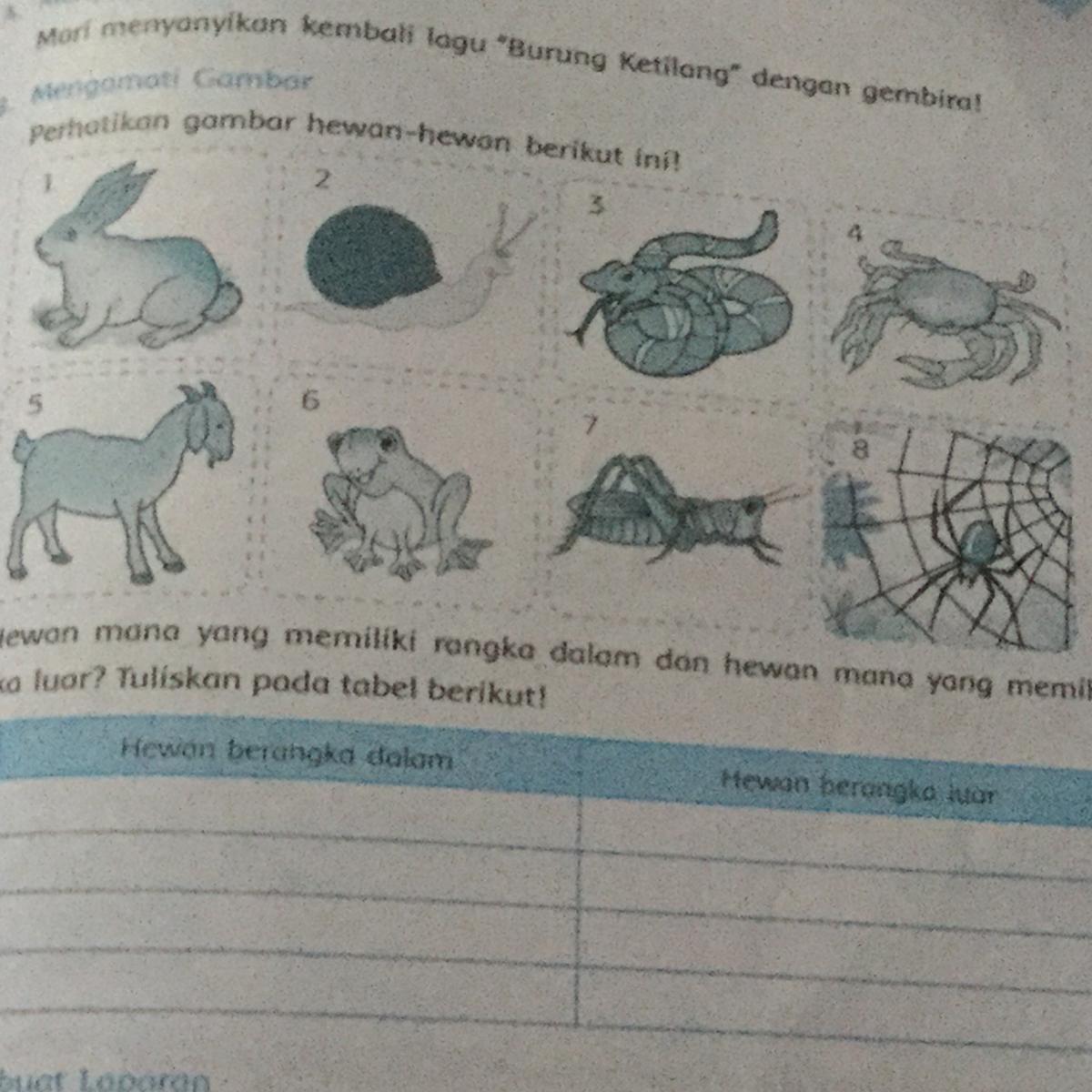 Berikut ini hewan yang memiliki rangka dalam adalah