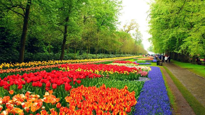 Gambar Taman - Homecare24