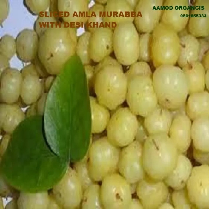 Fruits of Bangladesh: Amla/Aonla(Amalaki)