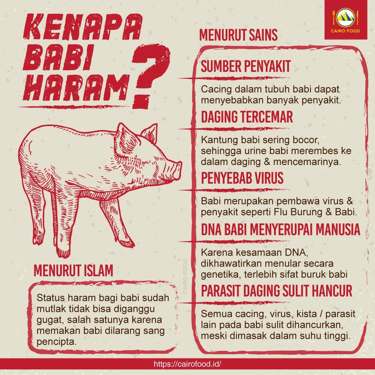 Kenapa Daging Babi Haram - Homecare24