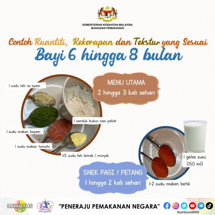 Resep makanan bayi 6 bulan