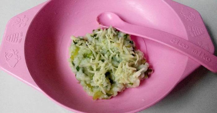 Kumpulan resep makanan bayi 8 bulan