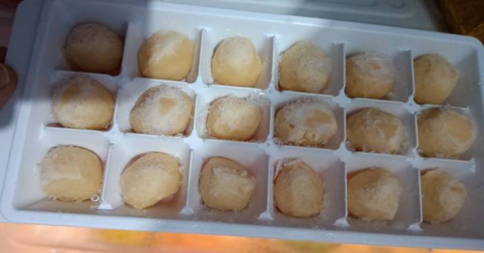 Makanan bayi 11 bulan yang susah makan