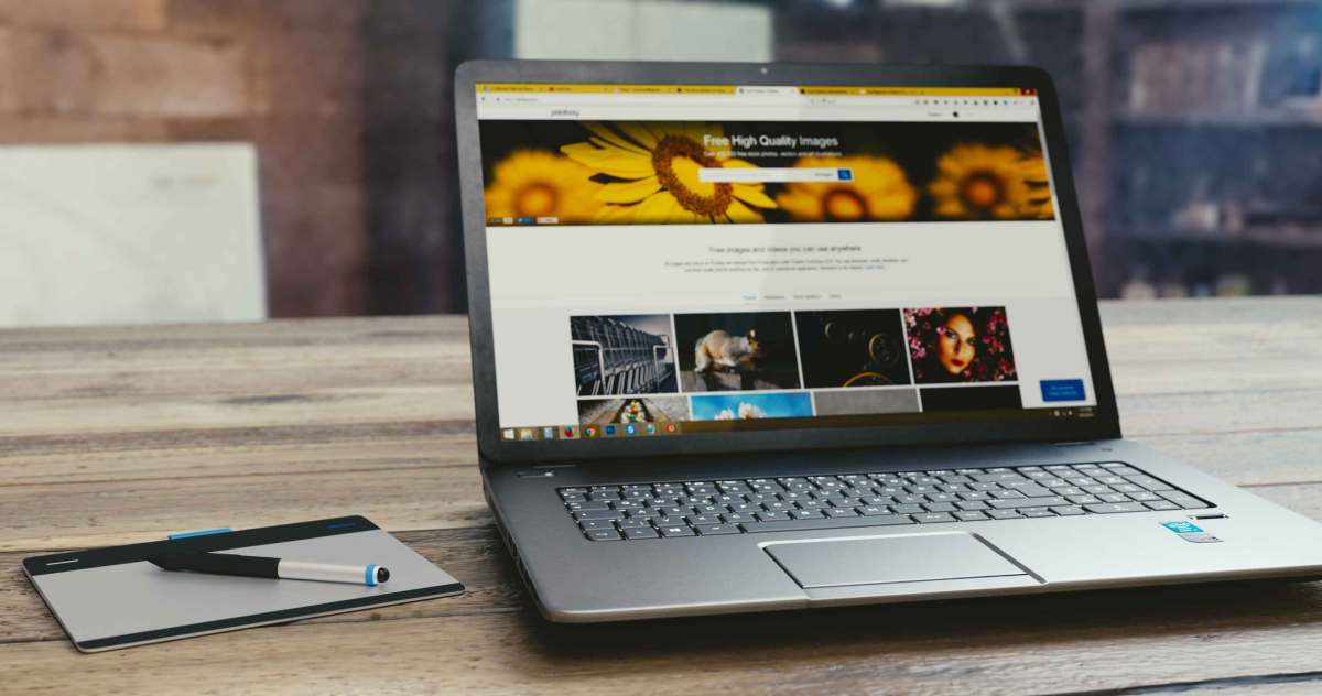 Gambar pohon pepaya untuk anak tk