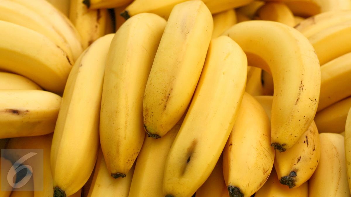 11 Jenis Pisang di Indonesia, Kenali Cara Mengolahnya Agar Nikmat Kala ... Pisang berkembang biak dengan
