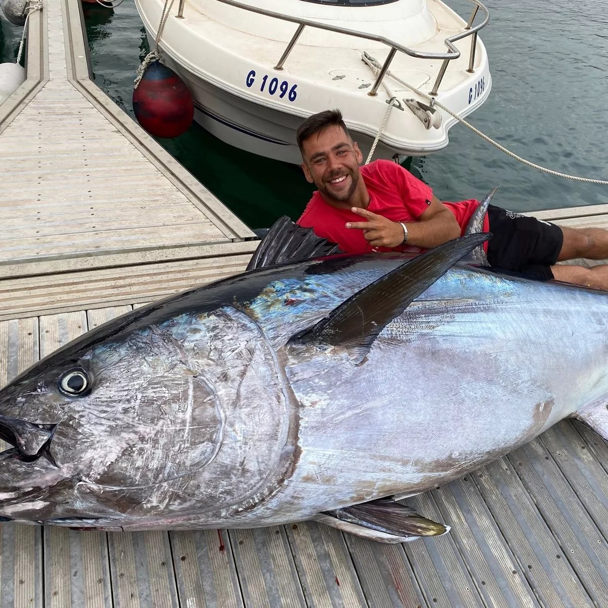 Tuna rungu adalah