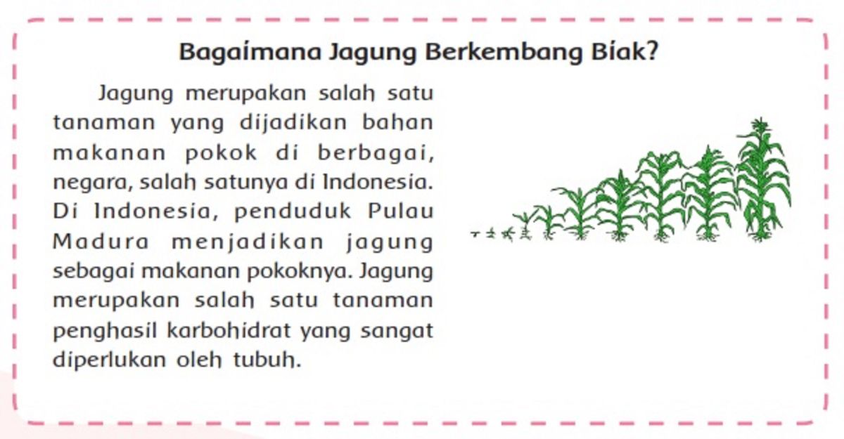 Cara menentukan pikiran pokok dalam bacaan yaitu