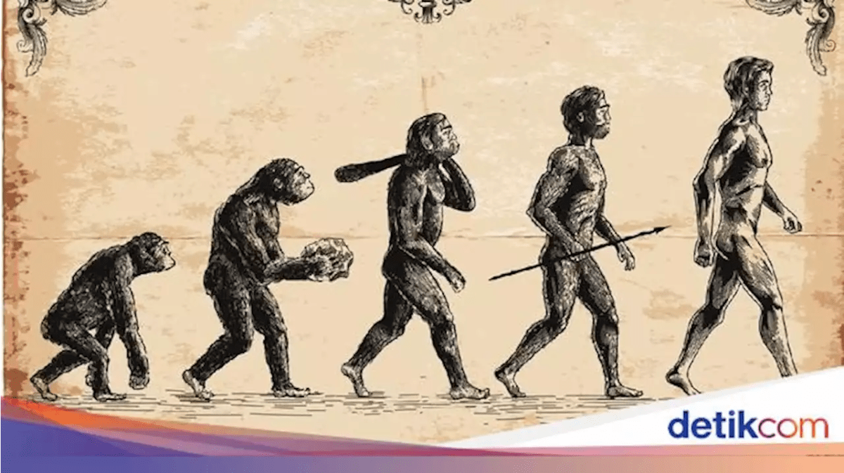 Manusia disebut makhluk sosial karena