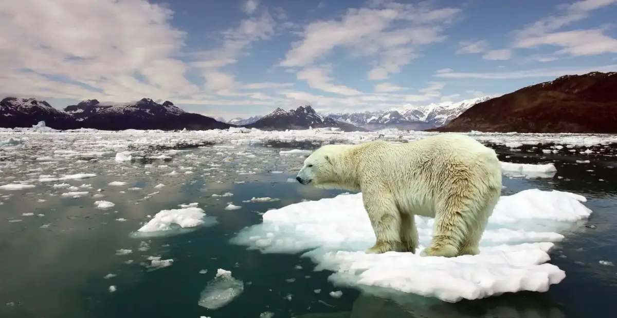 Dampak buruk pemanasan global bagi manusia adalah