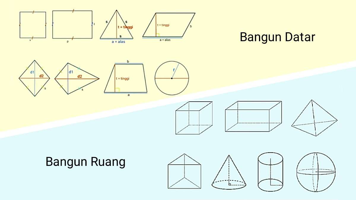 Perbedaan Bangun Datar dan Bangun Ruang Apakah yang dimaksud bangun datar