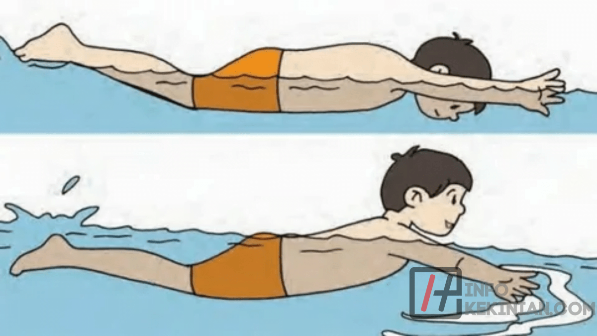 Posisi badan saat renang gaya bebas adalah