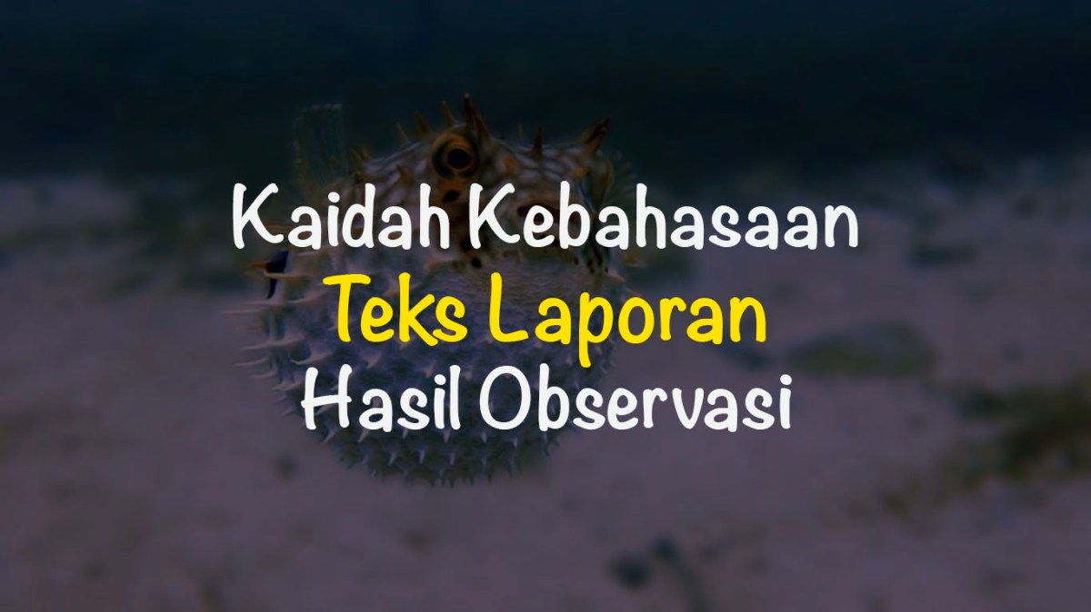 Tuliskan ciri kebahasaan teks laporan hasil observasi