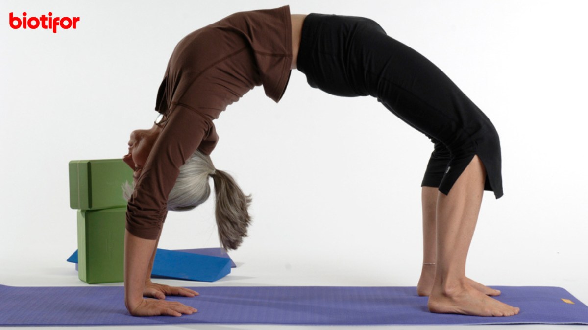 Ini Cara Melakukan Kayang dan Manfaatnya untuk Kesehatan Tubuh