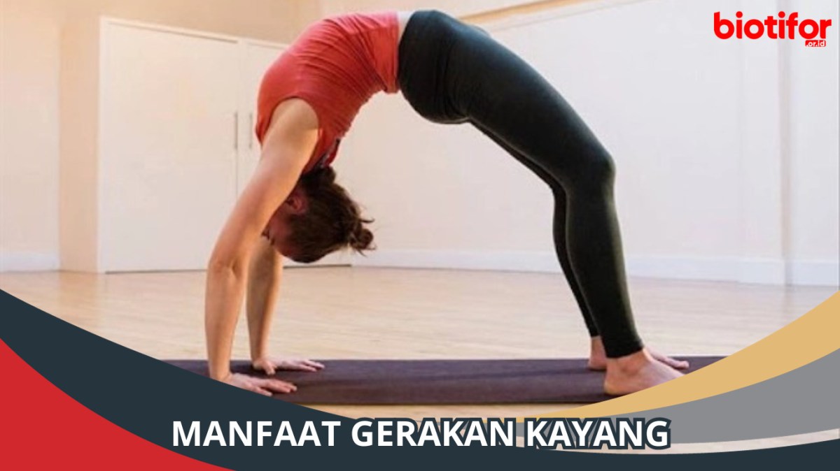 Apa Itu Kayang dan Cara Melakukan Gerakannya dengan Benar