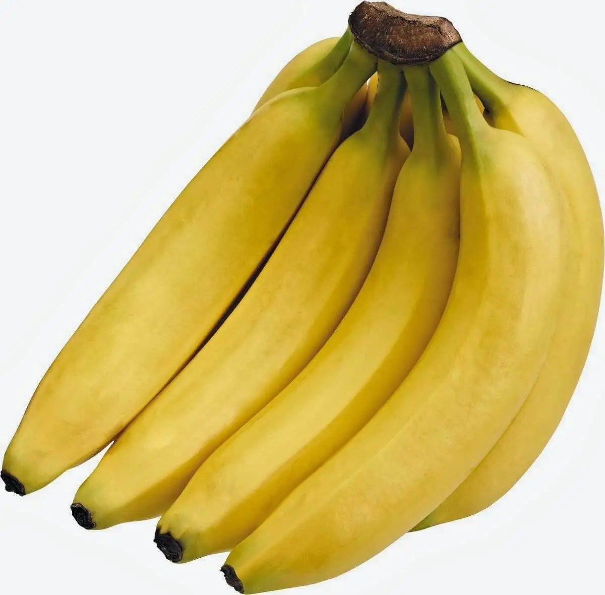 Manfaat Pisang Untuk Kesehatan Dan Kecantikan Manfaat Pisang Untuk Kesehatan Dan Kecantikan