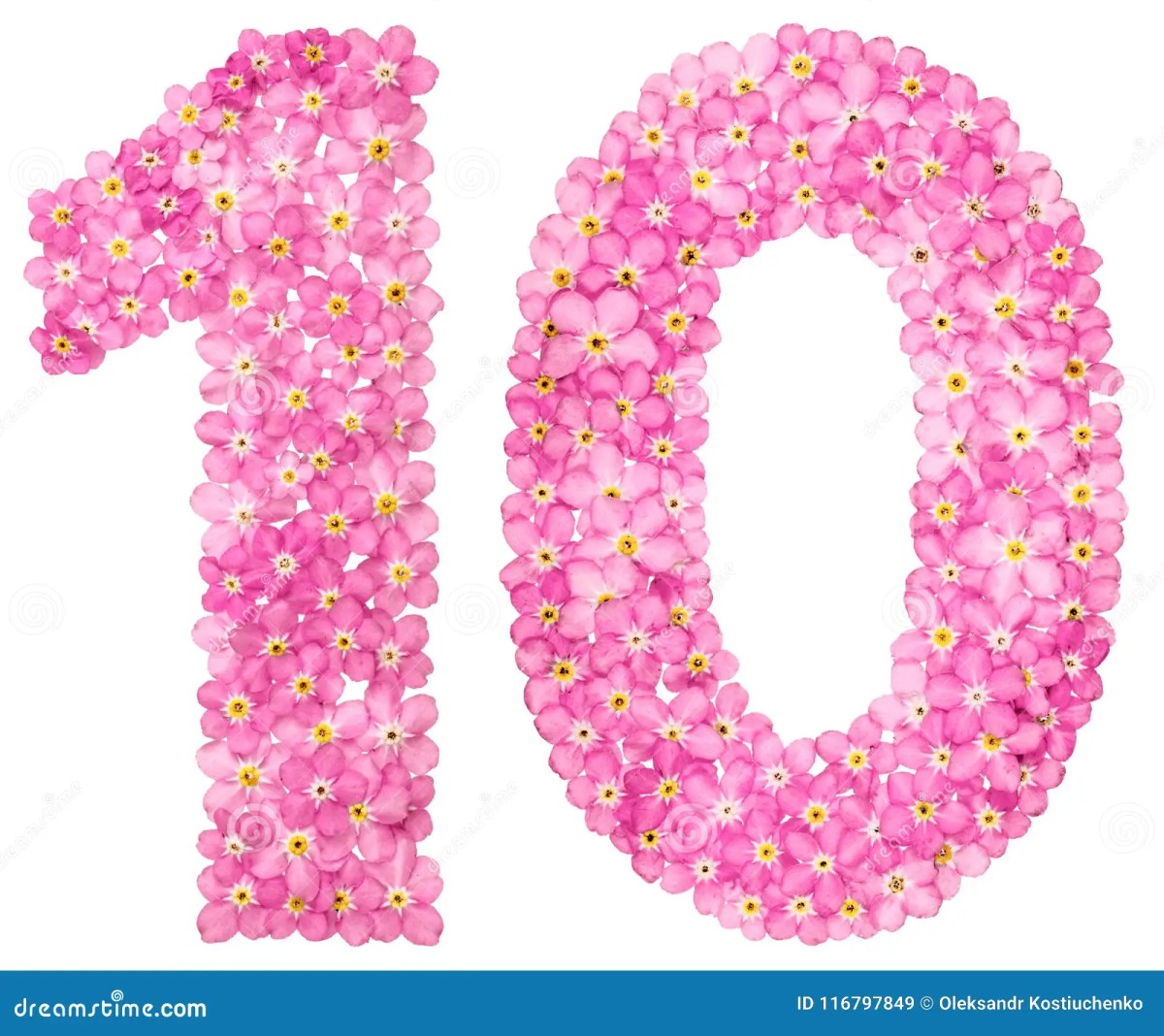 10 contoh hewan invertebrata