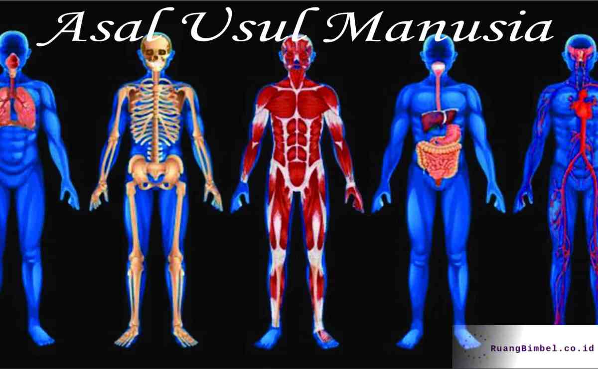 Manusia disebut makhluk sosial karena