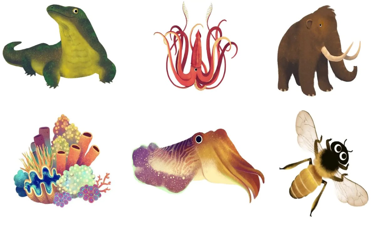 Arti Lengkap Karakter Hewan di Kuis Hari Bumi 2022 - Parboaboa