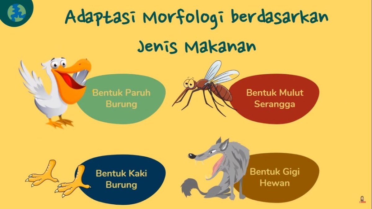 Adaptasi morfologi adalah