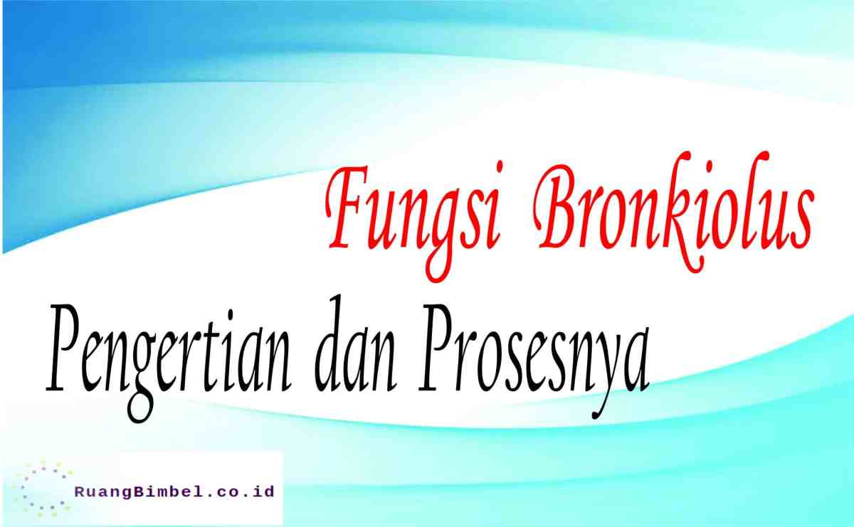 Fungsi bronkiolus dalam sistem pernapasan