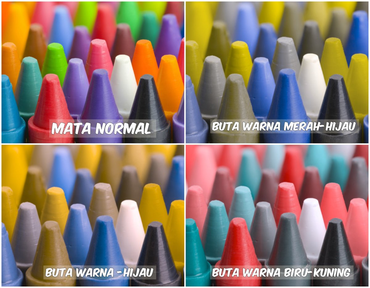Warna Yang Dilihat Orang Buta Warna | Ide Perpaduan Warna