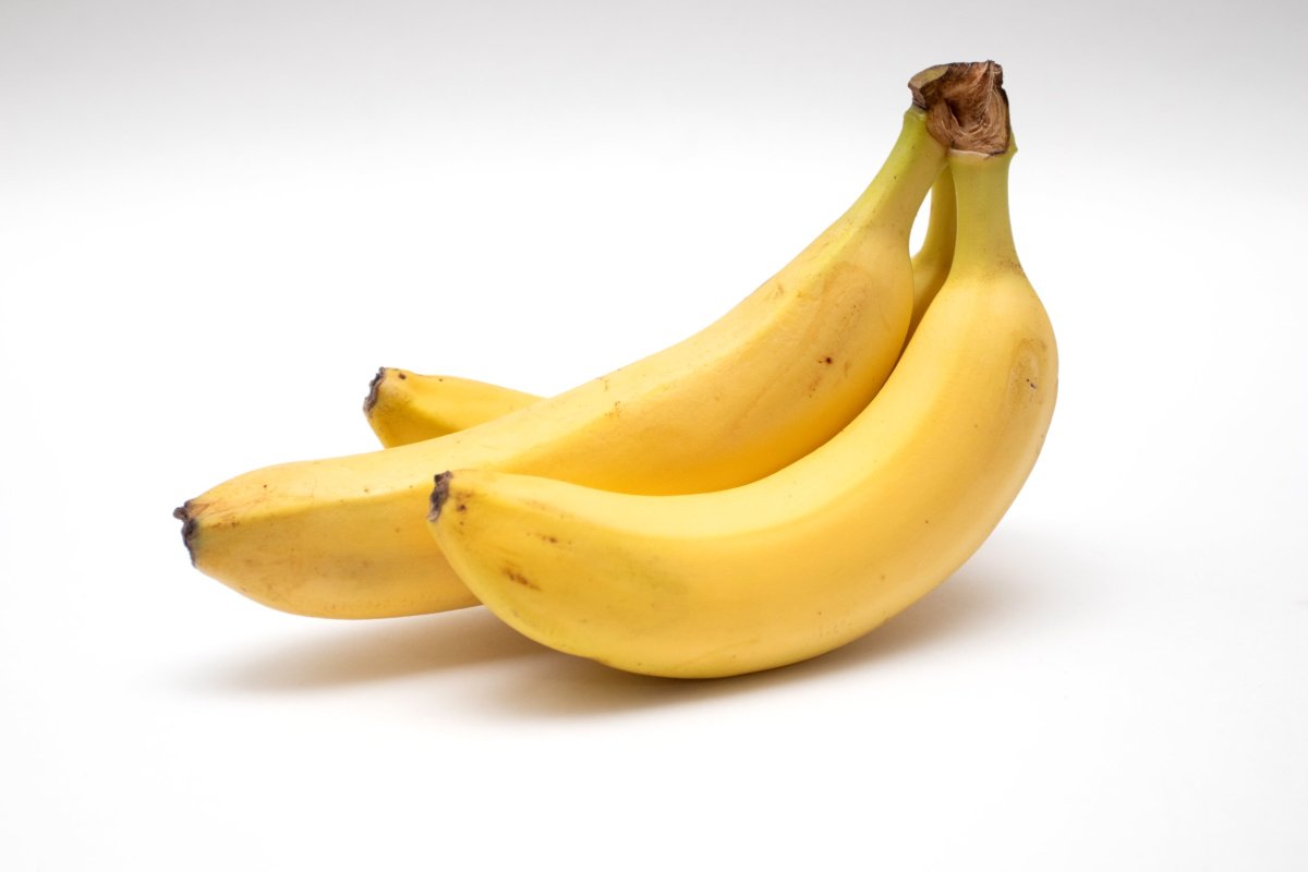 3 Manfaat Istimewa Tanaman Pisang: Rahasia Kesehatan Dan Kebugaran Pisang berkembang biak dengan